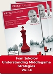 Rozumět strategii střední hry 1.-6.díl ke stažení