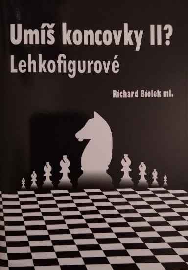 Umíš koncovky II?