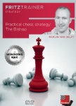 Practical Chess Strategy: The Bishop (DVD)