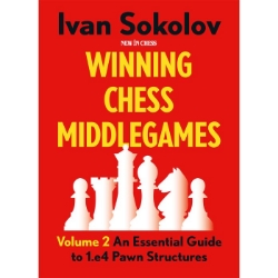 Winning Chess Middlegames - Volume 2